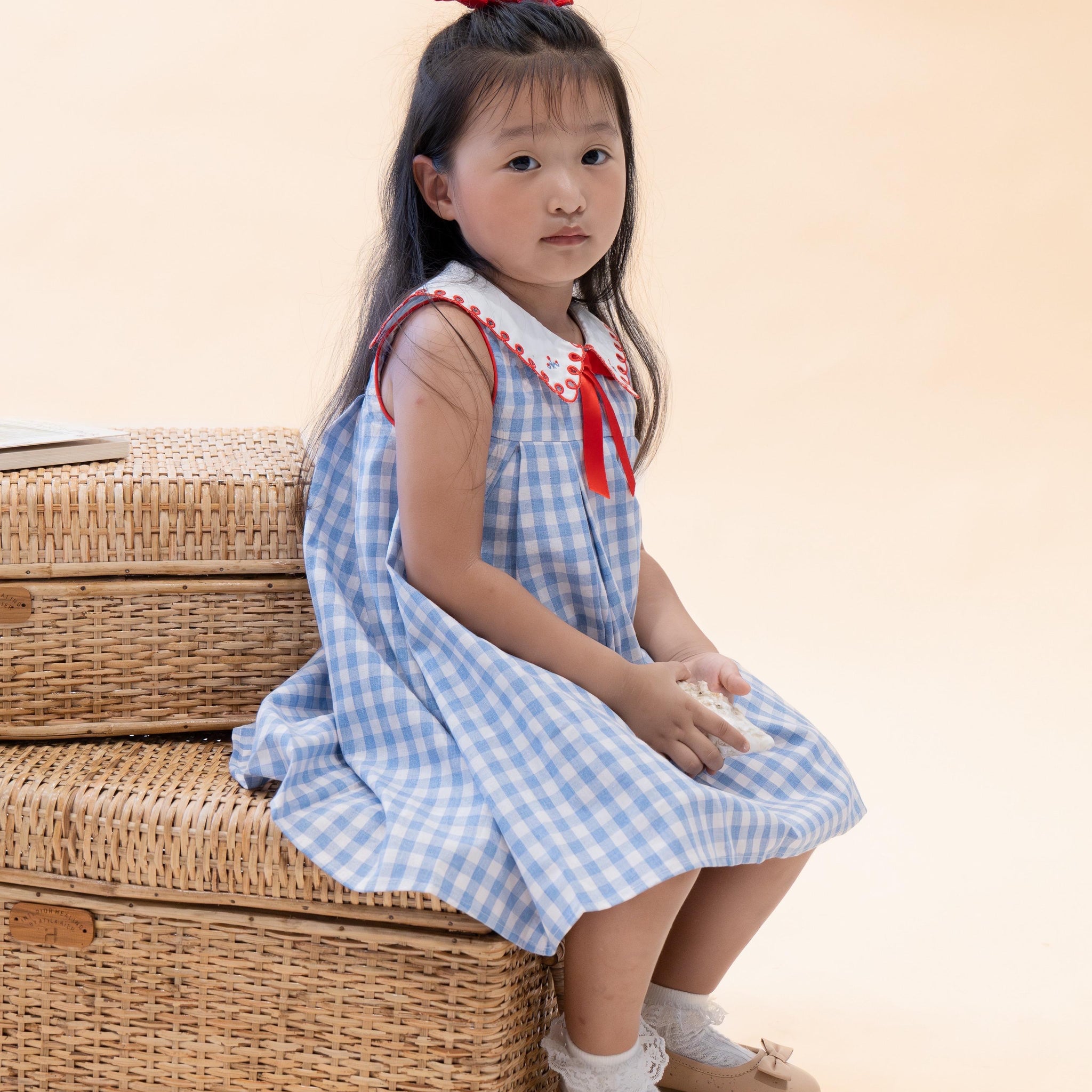 The Beatrix Picnic dress